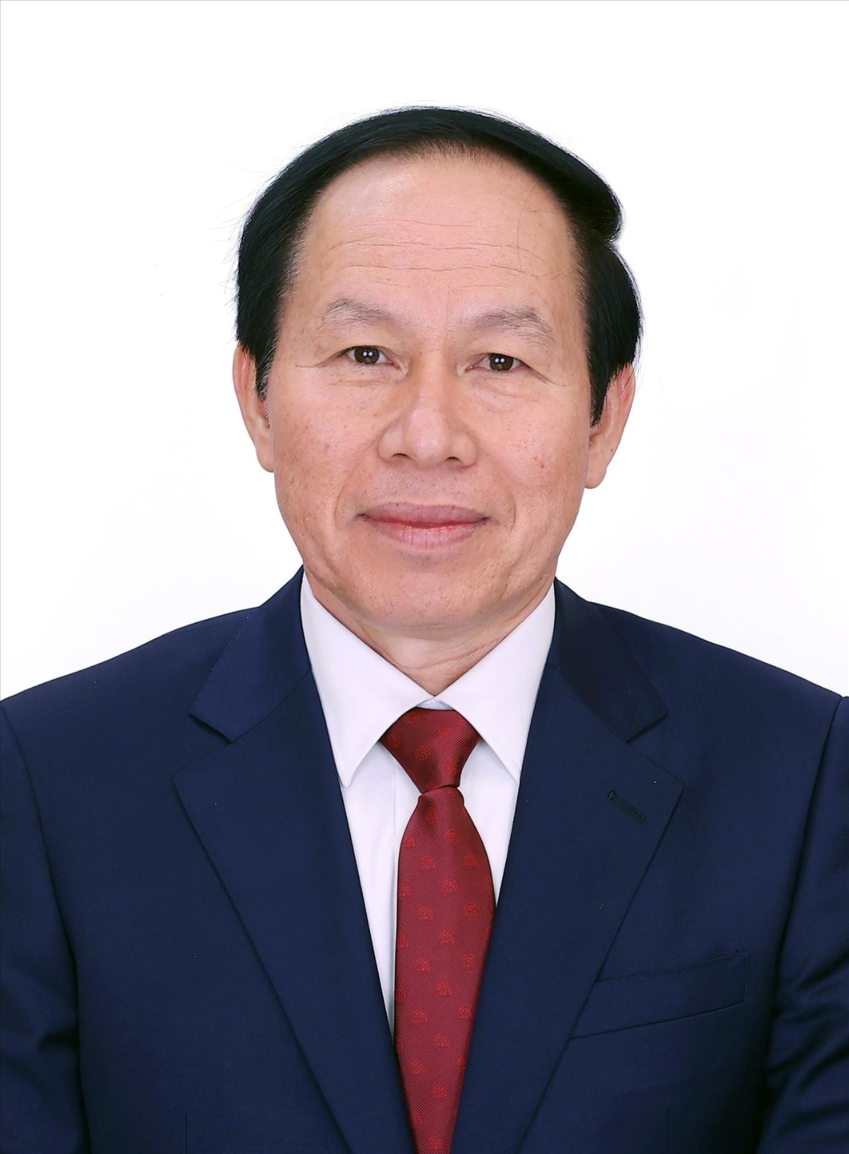 Phó Thủ tướng Chính phủ Lê Tiến Châu. Ảnh: TTXVN&nbsp;&nbsp;