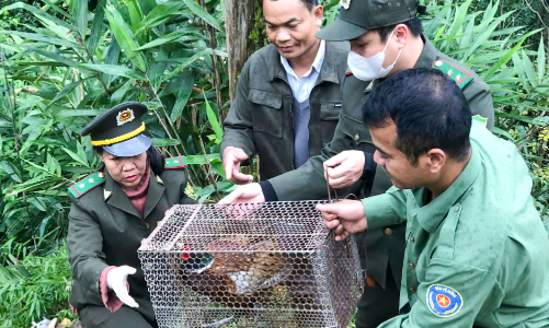 Huế: Bảo vệ đa dạng sinh học trước áp lực gia tăng lên tài nguyên thiên nhiên
