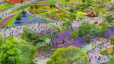 Vietnam to join Japan’s GREEN EXPO 2027, focusing on green agri-trade promotion