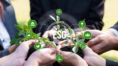 A roadmap for Vietnamese SMEs to meet ESG standards
