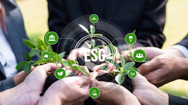 A roadmap for Vietnamese SMEs to meet ESG standards