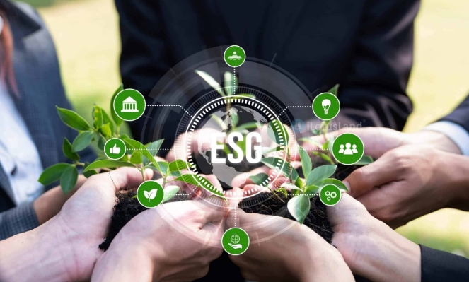 A roadmap for Vietnamese SMEs to meet ESG standards