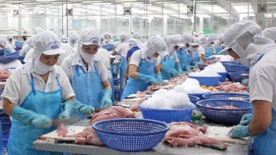 Vietnam's seafood exports earn $2.64bln in Q1