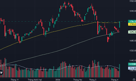 VN-Index đã vượt lên trên đường MA100 ngày.