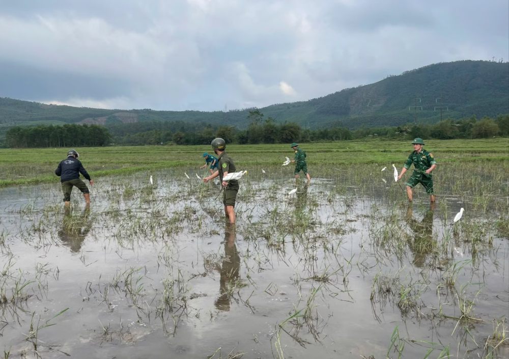 Lực lượng liên ngành tổ chức ra quân truy quét săn bắt chim trái phép