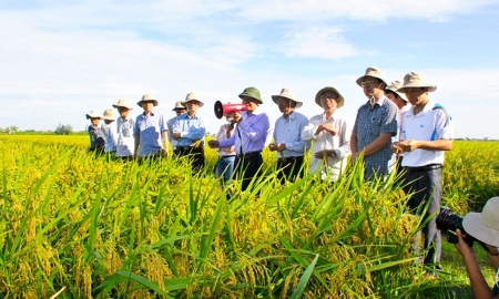 Khuyến nông phải diễn ra trong thực địa, trong sản xuất thực tế. Ảnh minh họa.