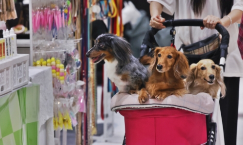 Việt Nam trong làn sóng tăng trưởng “kinh tế thú cưng”