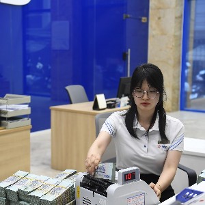 Lãi suất liên ngân hàng giảm sâu, tỷ giá USD/VND duy trì ổn định trong tuần từ 6 đến 10/7/2026.