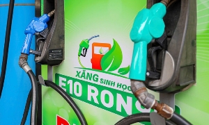 Bộ Công Thương xem xét triển khai xăng sinh học E10 từ tháng 4/2026