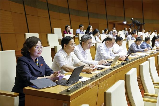 Đoàn đại biểu Quốc hội tỉnh Sơn La dự phiên họp. Ảnh: TTXVN