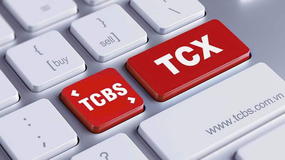TCBS được biết đến là doanh nghiệp tiên phong trong việc ứng dụng công nghệ vào hoạt động tài chính, phát triển hệ sinh thái sản phẩm đa dạng và xây dựng mô hình WealthTech tại Việt Nam. 