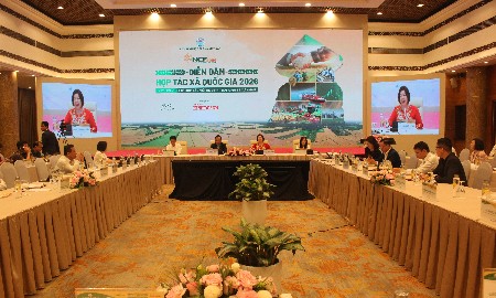 Liên kết hợp tác xã - doanh nghiệp: Chìa khóa xây dựng hệ sinh thái nông nghiệp bền vững