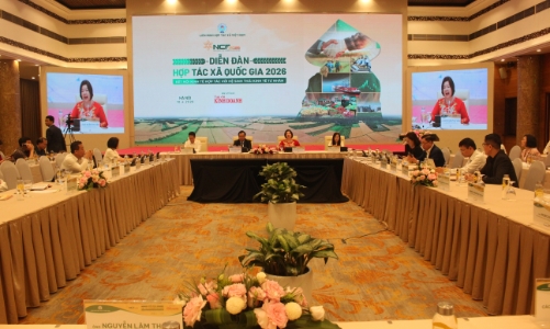 Liên kết hợp tác xã - doanh nghiệp: Chìa khóa xây dựng hệ sinh thái nông nghiệp bền vững