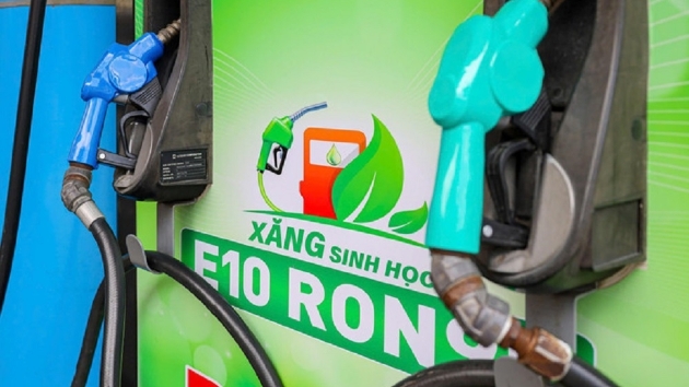 Trade ministry considers E10 biofuel rollout from April 2026
