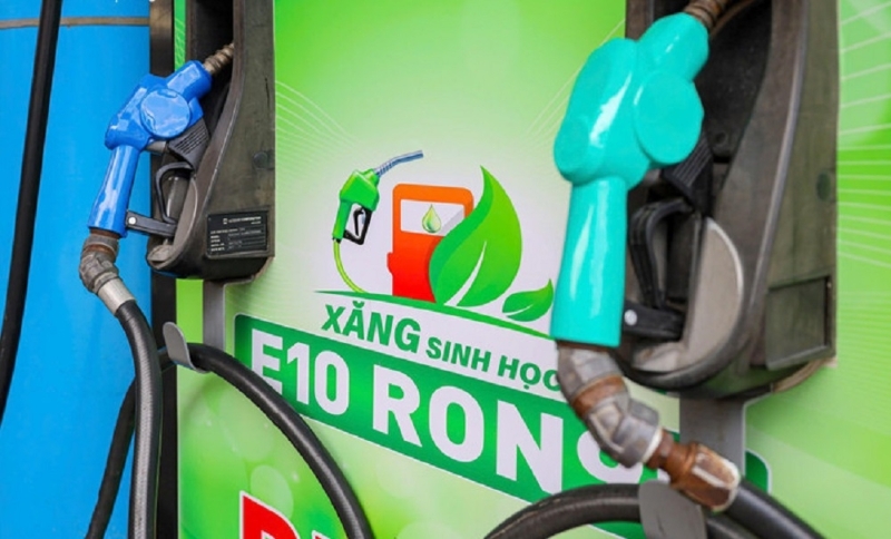 Trade ministry considers E10 biofuel rollout from April 2026