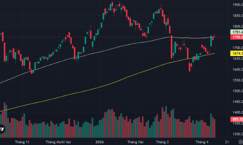 Khối ngoại mua ròng mạnh, tiền “đón đầu” nâng hạng đã khởi động?
