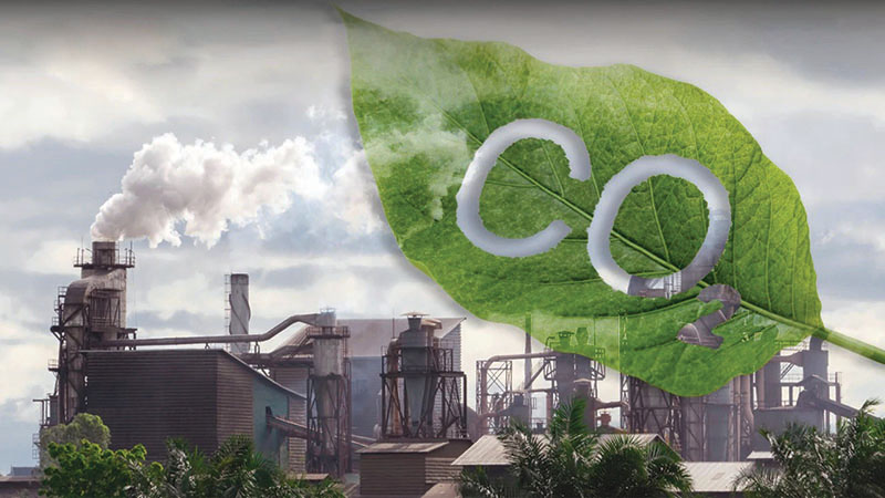 Tăng cường năng lực sẵn sàng tham gia thị trường carbon tại Việt Nam cho các doanh nghiệp