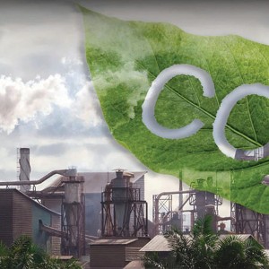 Tăng cường năng lực sẵn sàng tham gia thị trường carbon tại Việt Nam cho các doanh nghiệp