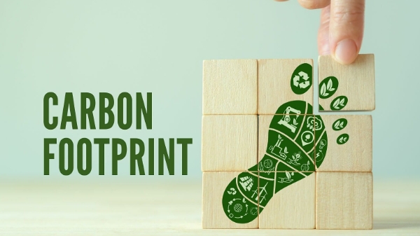 Triển khai nhãn carbon cho doanh nghiệp Việt Nam