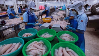 Heavy pressure on agricultural and seafood exports