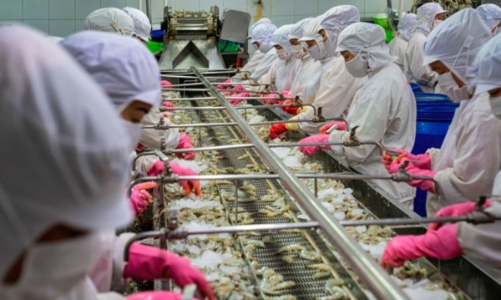 Higher requirements on agro exports to the EU