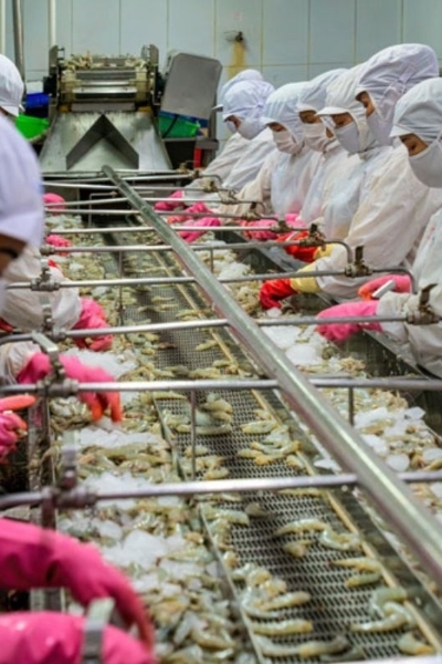 Higher requirements on agro exports to the EU