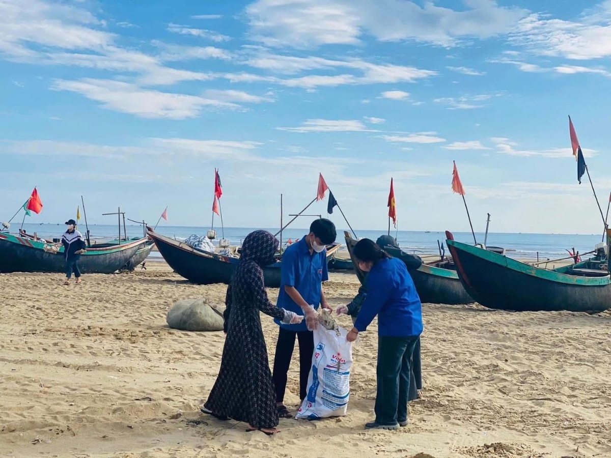 Các nhóm tình nguyện chia khu vực, làm sạch từng đoạn bờ biển