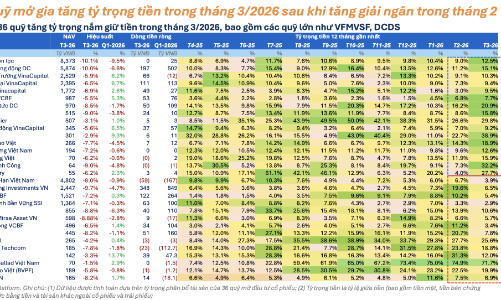 Các quỹ cổ phiếu lớn thận trọng, tăng nắm giữ tiền mặt 