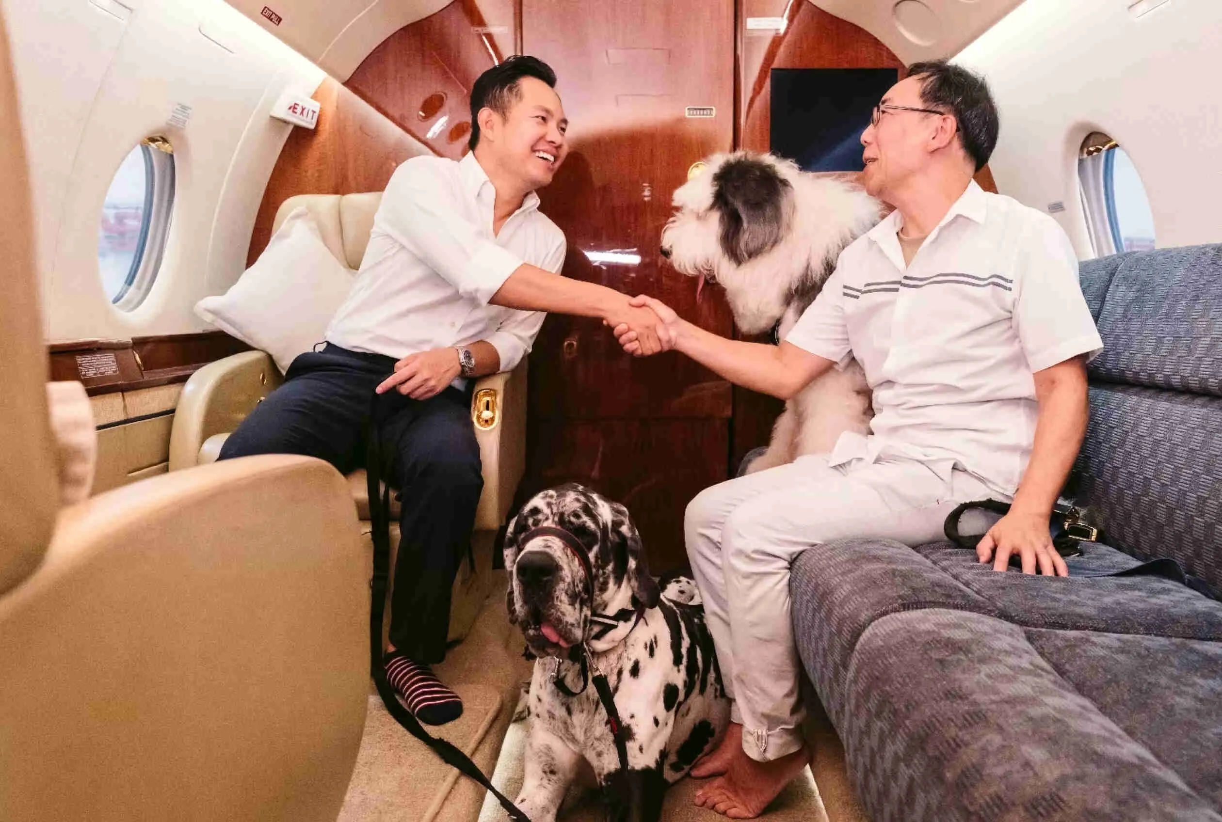 Khách hàng của SingaPaw&nbsp;Air bao gồm những người chuyển nơi ở giữa các quốc gia, cũng như những người muốn đưa thú cưng đi du lịch.