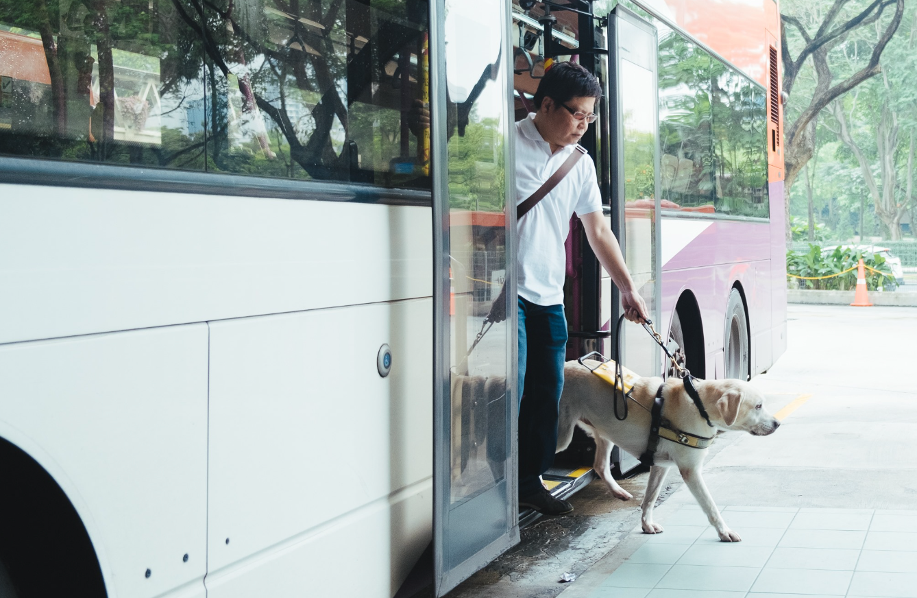 Thú cưng không chỉ ảnh hưởng đến việc đi đâu mà còn quyết định du khách sẽ làm gì trong chuyến đi. 
