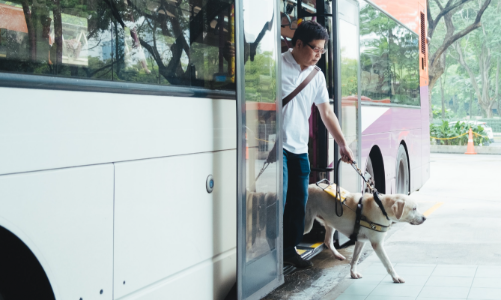 “Hành khách” thú cưng đang định hình lại ngành du lịch và vận chuyển