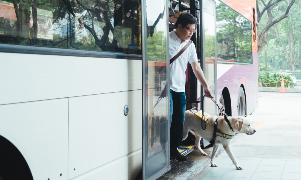 Thú cưng không chỉ ảnh hưởng đến việc đi đâu mà còn quyết định du khách sẽ làm gì trong chuyến đi. 
