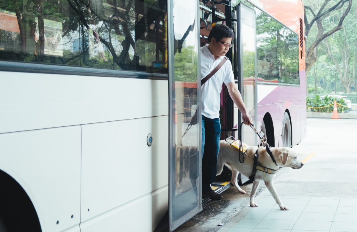 Thú cưng không chỉ ảnh hưởng đến việc đi đâu mà còn quyết định du khách sẽ làm gì trong chuyến đi. 