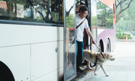 Thú cưng không chỉ ảnh hưởng đến việc đi đâu mà còn quyết định du khách sẽ làm gì trong chuyến đi.