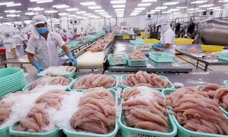 Trung Quốc hiện là thị trường tiêu thụ lớn nhất của thủy sản Việt Nam. Ảnh minh họa.