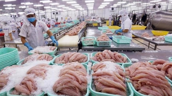 Doanh nghiệp xuất khẩu nông sản chọn Trung Quốc làm “vùng tránh bão”  