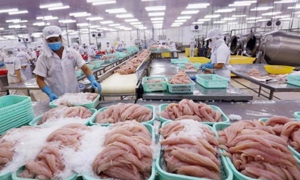 Trung Quốc hiện là thị trường tiêu thụ lớn nhất của thủy sản Việt Nam. Ảnh minh họa.