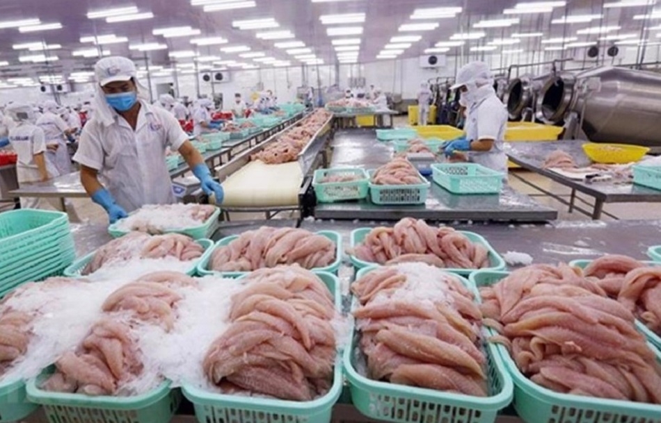 Trung Quốc hiện là thị trường tiêu thụ lớn nhất của thủy sản Việt Nam. Ảnh minh họa.