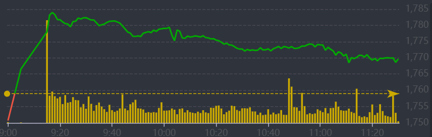 Diễn biến chỉ số VN-Index sáng nay.