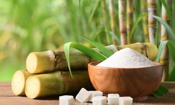 Nghịch lý thị trường đường: Giá thế giới tăng, Việt Nam giảm