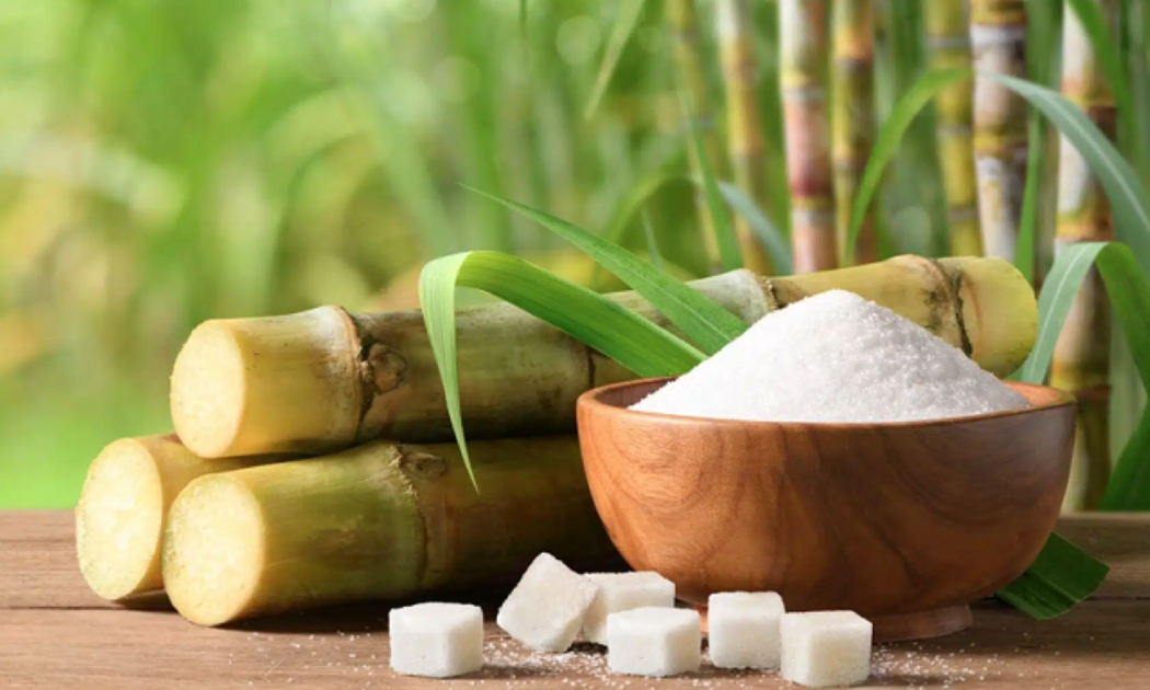 Nghịch lý thị trường đường: Giá thế giới tăng, Việt Nam giảm