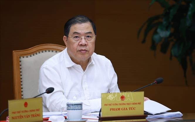 Phó Thủ tướng Thường trực Chính phủ Phạm Gia Túc phát biểu. Ảnh: TTXVN