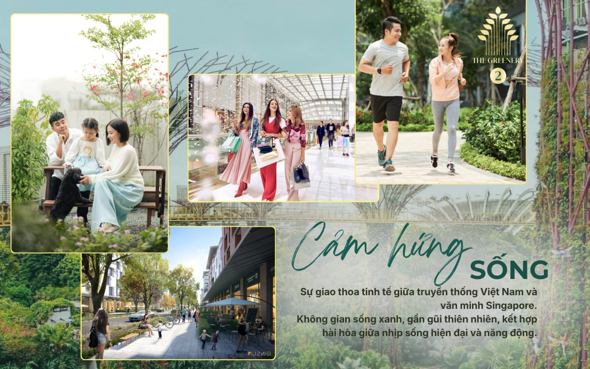Cảm hứng sống xanh, hiện đại và năng động của The Greenery Hải Phòng.