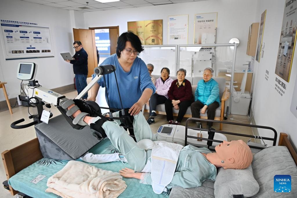 Trung tâm dưỡng lão được thiết kế theo 3 nhóm chức năng chính gồm dịch vụ cơ bản, ứng dụng robot và cải tạo không gian sống thân thiện với người cao tuổi.