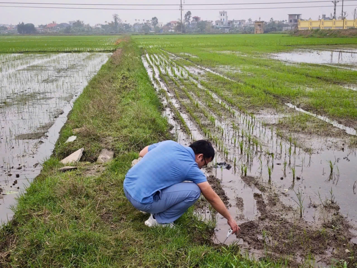 PGS.TS. Nguyễn Hữu Duy đang khảo sát đo độ mặn tại tỉnh Thái Bình (nay là tỉnh Hưng Yên) vào năm 2025. 
