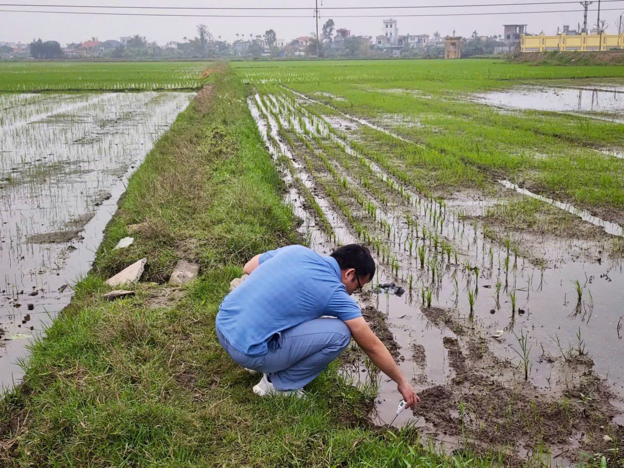 PGS.TS. Nguyễn Hữu Duy đang khảo sát đo độ mặn tại tỉnh Thái Bình (trước sáp nhập, nay là tỉnh Hưng Yên) vào năm 2025. Ảnh: NVCC.