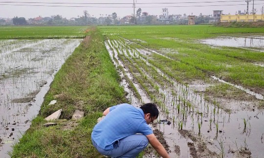 PGS.TS. Nguyễn Hữu Duy đang khảo sát đo độ mặn tại tỉnh Thái Bình (trước sáp nhập, nay là tỉnh Hưng Yên) vào năm 2025. Ảnh: NVCC.