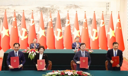 Mở cửa thị trường Trung Quốc cho bưởi và chanh Việt Nam