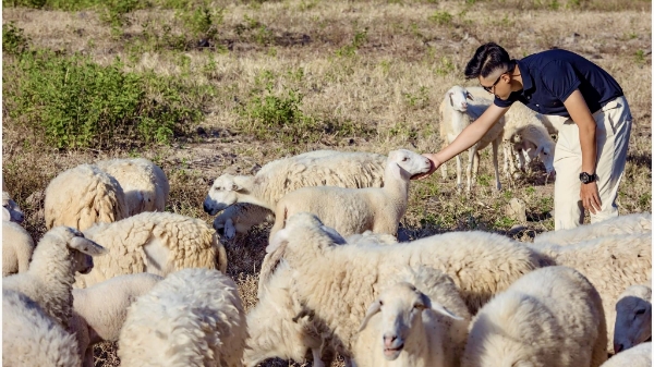 Khánh Hòa: Ngành du lịch tìm lời giải cho bài toán chi phí và cạnh tranh