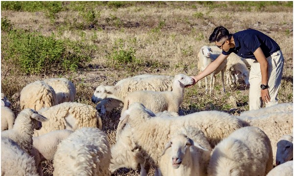 Khánh Hòa: Ngành du lịch tìm lời giải cho bài toán chi phí và cạnh tranh